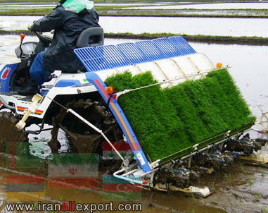 Устройство Paddy Planters 